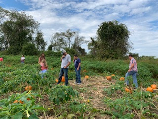 It's the Great Pumpkin ! 

